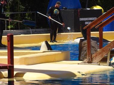 260511_loroparque2_original