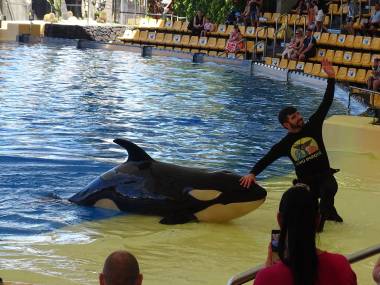 260511_loroparque4_original