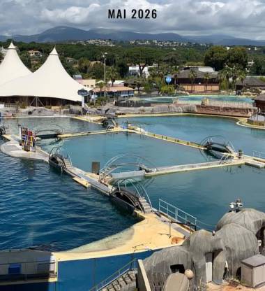 260604_marineland1_original