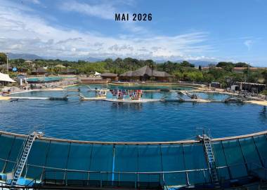 260604_marineland2_original