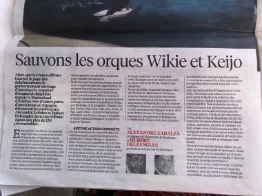 260703_orques4_original