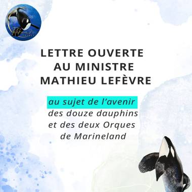 lettreouverte170326_image1_original