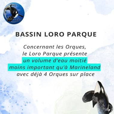 lettreouverte170326_image3_original