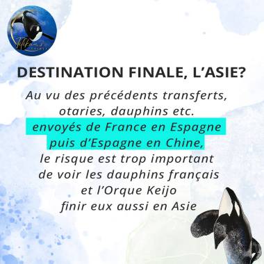 lettreouverte170326_image4_original