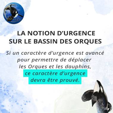 lettreouverte170326_image7_original