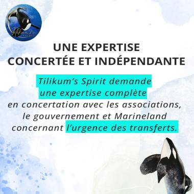 lettreouverte170326_image8_original